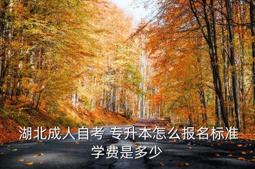  湖北成人自考 專升本怎么報名標(biāo)準(zhǔn)學(xué)費(fèi)是多少