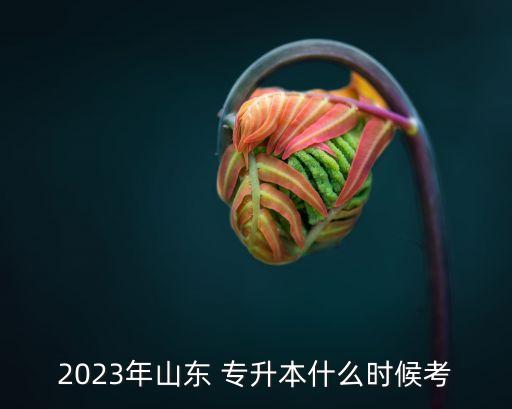 2023年山東 專升本什么時(shí)候考