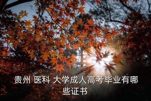  貴州 醫(yī)科 大學成人高考畢業(yè)有哪些證書