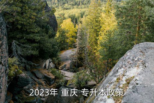 2023年 重慶 專升本政策