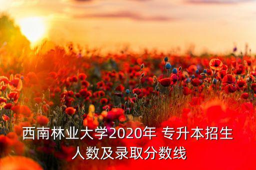 西南林業(yè)大學2020年 專升本招生 人數(shù)及錄取分數(shù)線