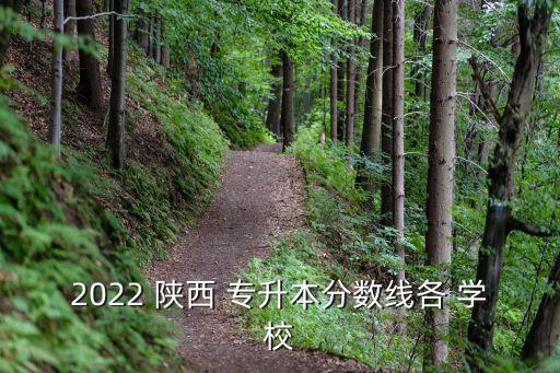 2022 陜西 專升本分?jǐn)?shù)線各 學(xué)校