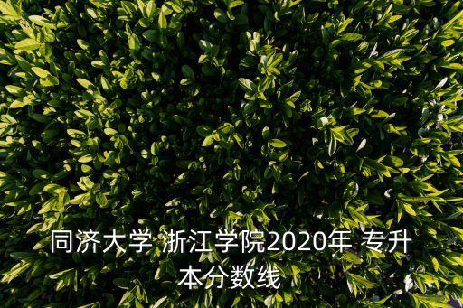 同濟大學 浙江學院2020年 專升本分數(shù)線