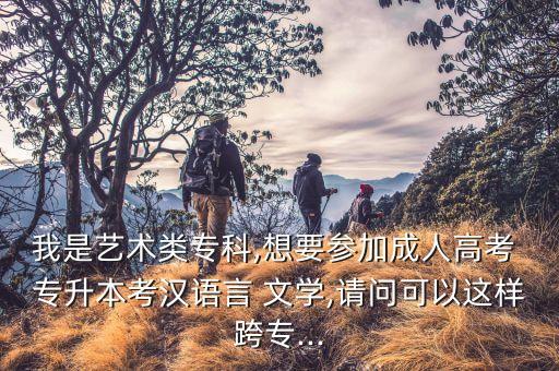 專升本文學理論考試,文學理論考試題