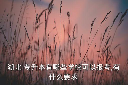 江漢大學可以專升本嗎