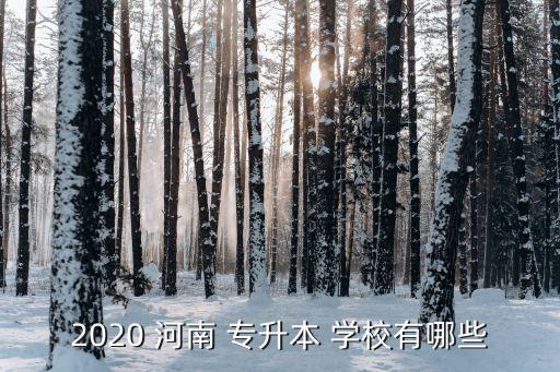 2020 河南 專升本 學(xué)校有哪些