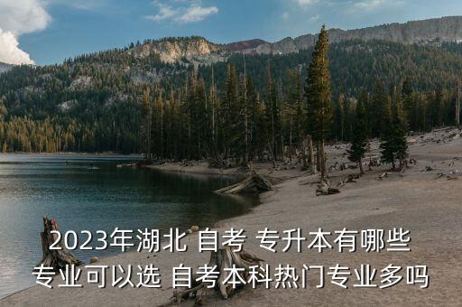 2023年湖北 自考 專升本有哪些專業(yè)可以選 自考本科熱門專業(yè)多嗎