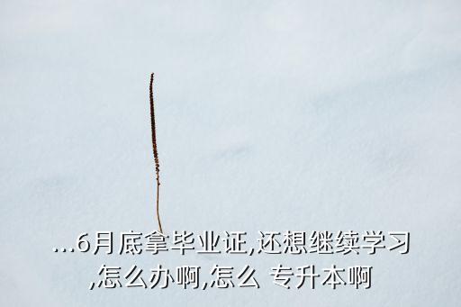 自學(xué)參加醫(yī)學(xué)專升本,專升本自學(xué)好還是報培訓(xùn)班好