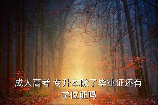  成人高考 專升本除了畢業(yè)證還有 學(xué)位證嗎