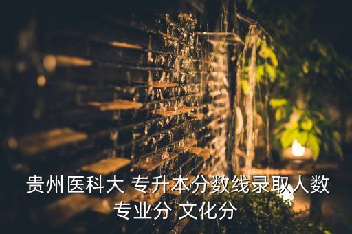  貴州醫(yī)科大 專升本分?jǐn)?shù)線錄取人數(shù)專業(yè)分 文化分