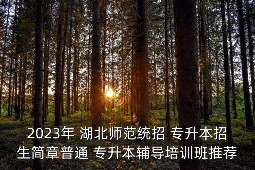 2023年 湖北師范統(tǒng)招 專升本招生簡章普通 專升本輔導(dǎo)培訓(xùn)班推薦