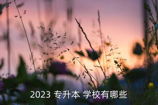 2023 專升本 學(xué)校有哪些