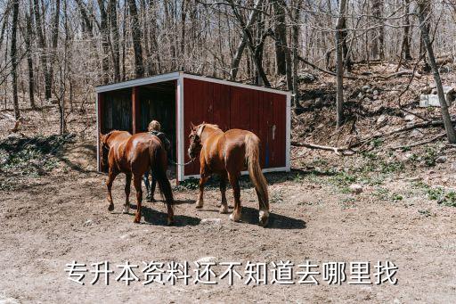  專升本資料還不知道去哪里找