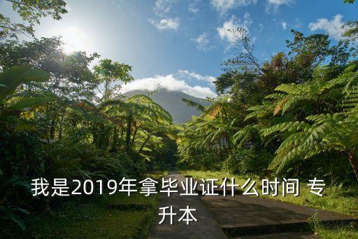 我是2019年拿畢業(yè)證什么時間 專升本