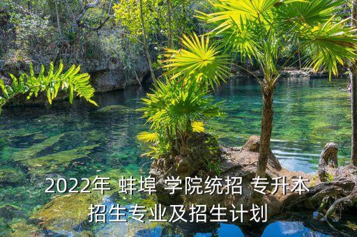 2022年 蚌埠 學(xué)院統(tǒng)招 專升本招生專業(yè)及招生計劃