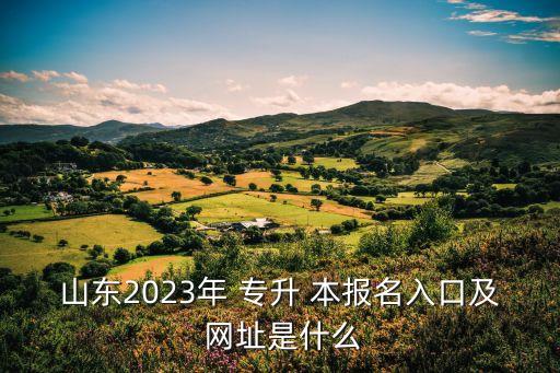 山東2023年 專升 本報名入口及 網(wǎng)址是什么