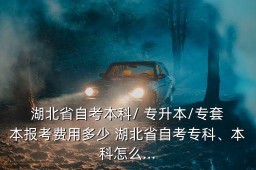 2018湖北專升本報(bào)名多少錢,湖北專升本報(bào)名費(fèi)用大概是多少?