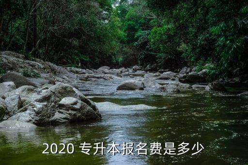 2020 專升本報名費是多少