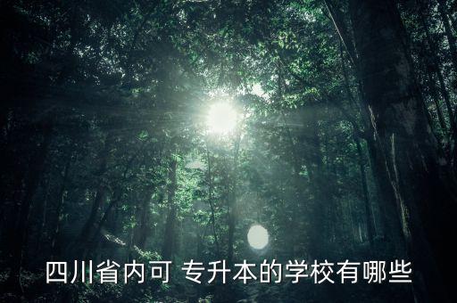 攀枝花學(xué)院專升本報名