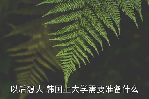 以后想去 韓國上大學(xué)需要準(zhǔn)備什么