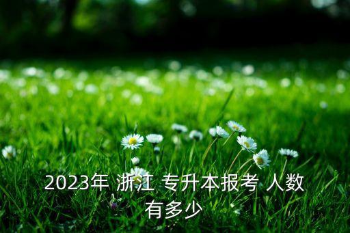 2023年 浙江 專升本報考 人數(shù)有多少