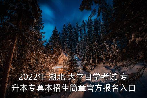 2022年 湖北 大學(xué)自學(xué)考試 專升本專套本招生簡(jiǎn)章官方報(bào)名入口