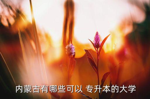  內(nèi)蒙古有哪些可以 專升本的大學(xué)