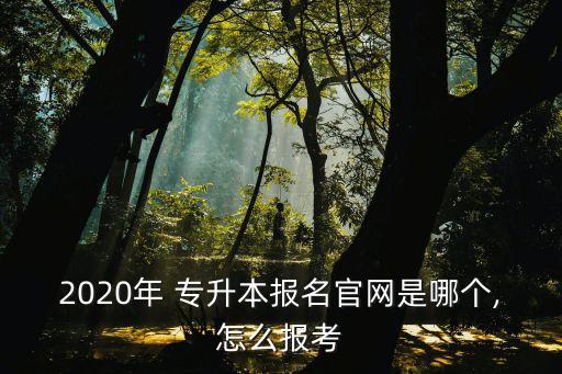 2020年 專升本報名官網(wǎng)是哪個,怎么報考