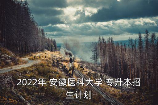 2022年 安徽醫(yī)科大學(xué) 專升本招生計(jì)劃