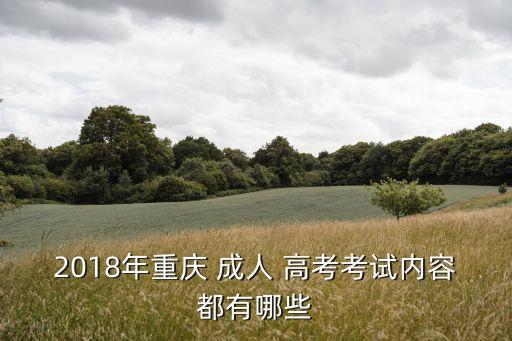 2018年成人高考專升本真題,2022年成人高考專升本英語(yǔ)真題及答案