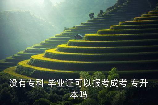 沒(méi)有?？?畢業(yè)證可以報(bào)考成考 專升本嗎