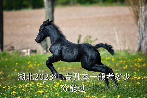  湖北2023年 專升本一般考多少分能過