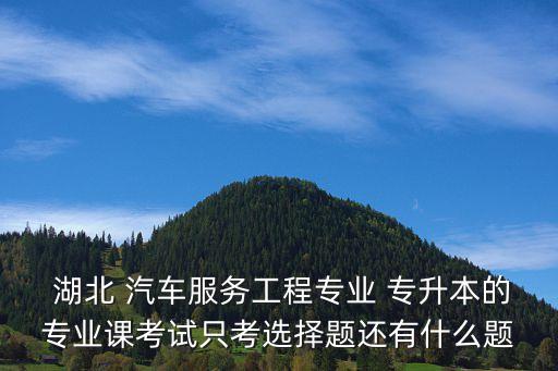  湖北 汽車服務(wù)工程專業(yè) 專升本的專業(yè)課考試只考選擇題還有什么題