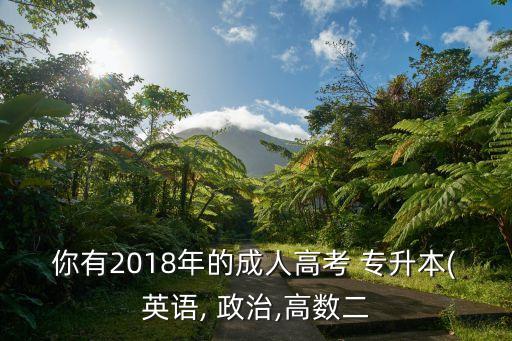 你有2018年的成人高考 專升本(英語(yǔ), 政治,高數(shù)二