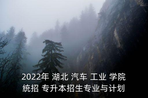 2022年 湖北 汽車 工業(yè) 學(xué)院統(tǒng)招 專升本招生專業(yè)與計劃