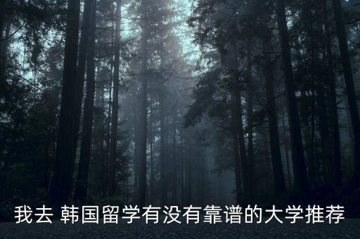 我去 韓國留學(xué)有沒有靠譜的大學(xué)推薦