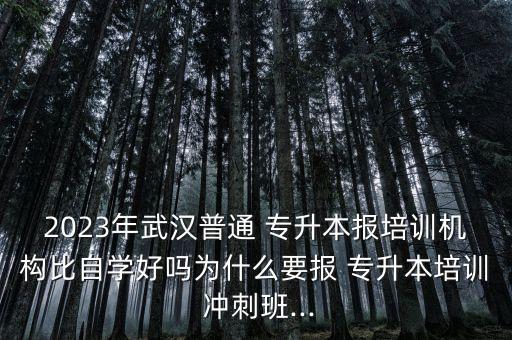 2023年武漢普通 專升本報培訓(xùn)機(jī)構(gòu)比自學(xué)好嗎為什么要報 專升本培訓(xùn) 沖刺班...