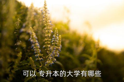 可以 專升本的大學(xué)有哪些