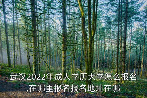 武漢2022年成人學(xué)歷大學(xué)怎么報(bào)名,在哪里報(bào)名報(bào)名地址在哪