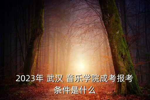 2023年 武漢 音樂(lè)學(xué)院成考報(bào)考條件是什么