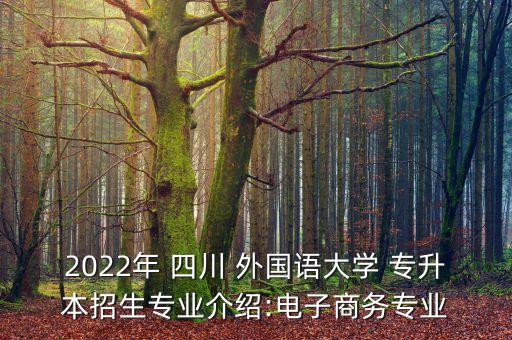 2022年 四川 外國(guó)語(yǔ)大學(xué) 專(zhuān)升本招生專(zhuān)業(yè)介紹:電子商務(wù)專(zhuān)業(yè)