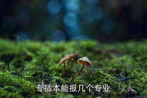 五邑大學專升本錄取分數(shù)線,江門五邑大學錄取分數(shù)線2022