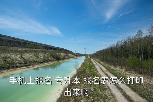 手機(jī)上報(bào)名 專升本 報(bào)名表怎么打印出來啊