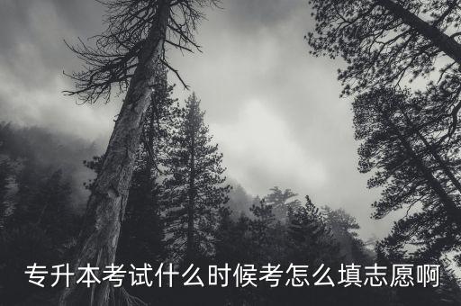  專升本考試什么時候考怎么填志愿啊