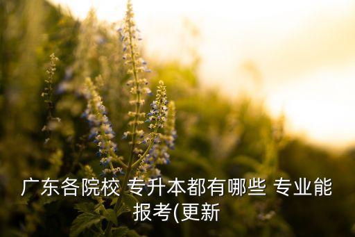 廣東各院校 專升本都有哪些 專業(yè)能報(bào)考(更新