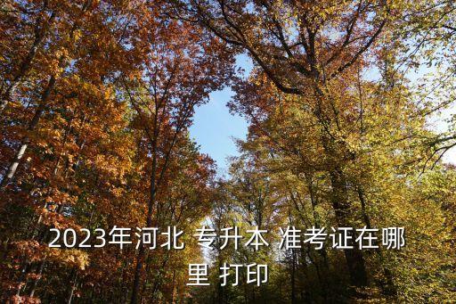 專升本準(zhǔn)考證怎么打印,2023年新疆專升本準(zhǔn)考證怎么打印