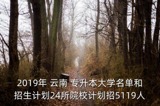 2019年 云南 專升本大學(xué)名單和招生計劃24所院校計劃招5119人