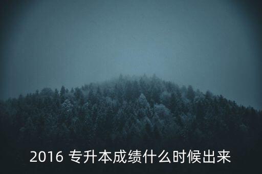 2016專升本錄取結(jié)果查詢,天津?qū)Ｉ句浫〗Y(jié)果查詢時間