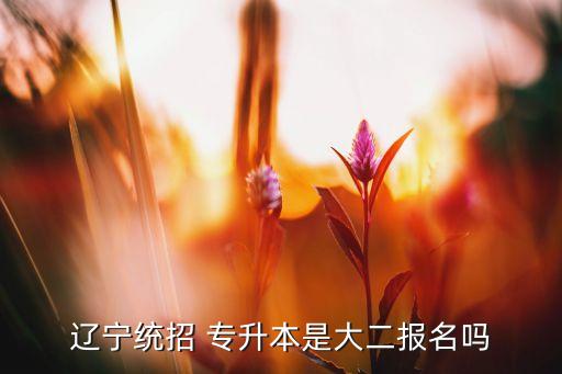 遼寧統(tǒng)招 專升本是大二報(bào)名嗎