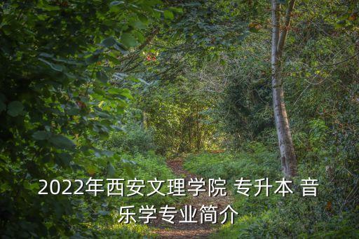 2022年西安文理學(xué)院 專升本 音樂(lè)學(xué)專業(yè)簡(jiǎn)介